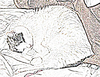 Cartoon Cat Image
